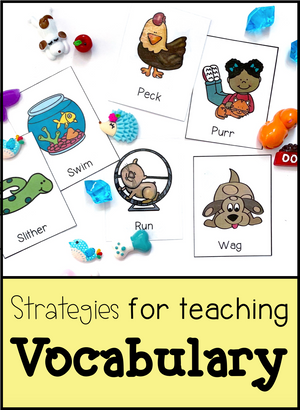 Strategies for Teaching Vocabulary