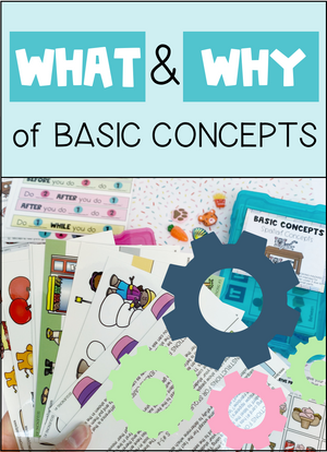The WHAT and WHY of Basic Concepts