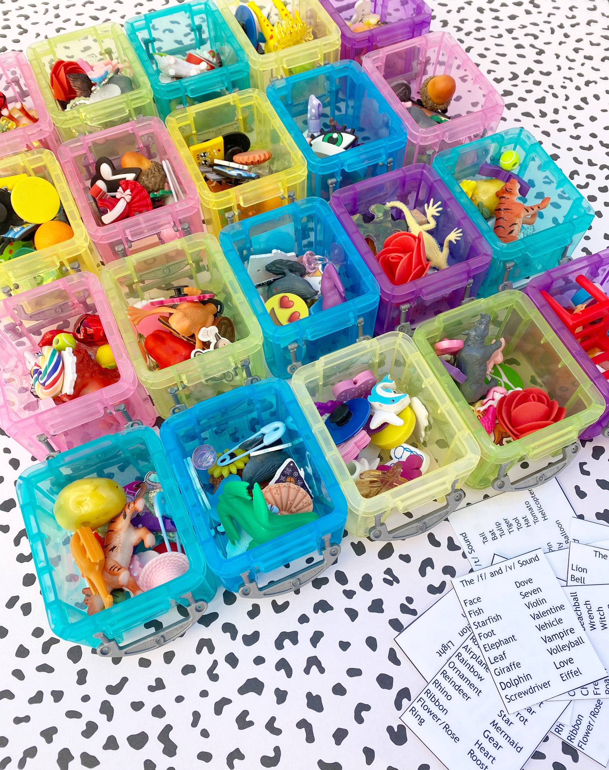 Picture Box Storage in Speech Therapy – The Type B SLP